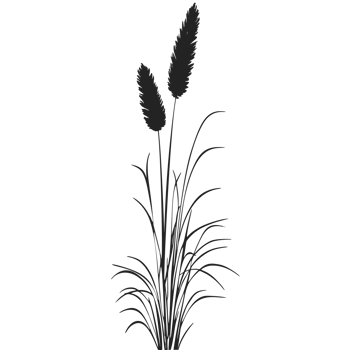 A black and white illustration of tall grass png