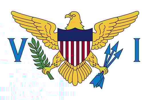 Flag of the United States Virgin Islands vector