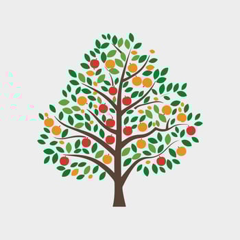 An apple tree with fruit on it vector