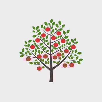 Apple tree illustration vector