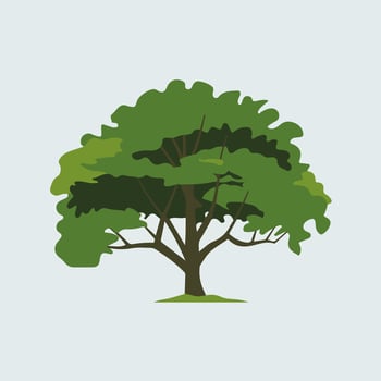 A simple tree with green leaves on a white background vector