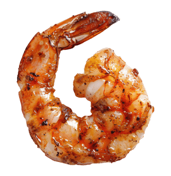 One grilled shrimp cut out png