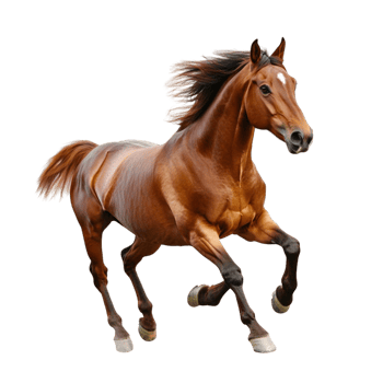 Powerful brown horse galloping with a flowing mane png