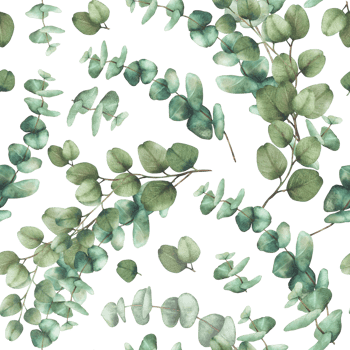 Eucalyptus plant bouquet seamless pattern. Watercolor Green silver dollar eucalypti tree branches with round leaves hand drawn botanical illustration for fabric, wallpaper isolated from background png