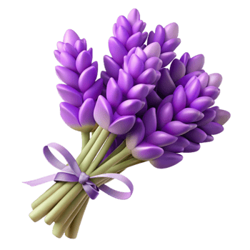 impressive minimalist A Cluster of Fresh Lavender Sprigs Tied with Twine, Professionally exclusive png