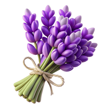 extraordinary artistic A Cluster of Fresh Lavender Sprigs Tied with Twine, Professionally premium png