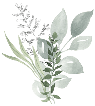 Watercolor green floral leaf and branch illustration png