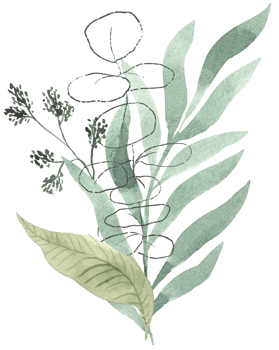 Watercolor green branch and leaf illustration png