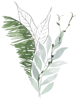 Watercolor green botanical leaf arrangement png