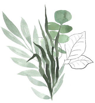 Watercolor green botanical leaf illustration bouquet png