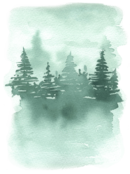 Watercolor evergreen forest landscape illustration png
