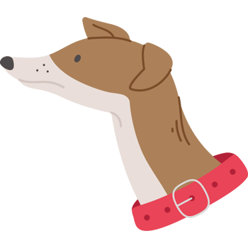 greyhound dog side view png