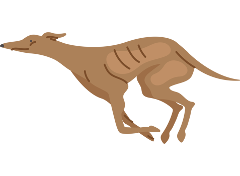 running greyhound dog icon png