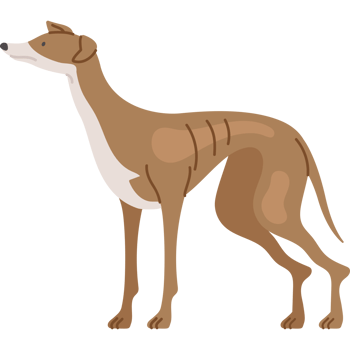 greyhound dog pet icon png
