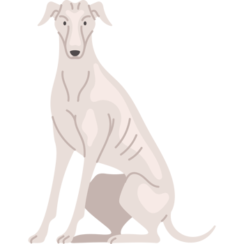 greyhound dog sitting icon png