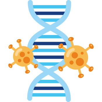 virus viral cells and dna structure png
