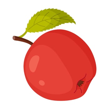Red ripe apple with leaf, fresh garden fruit. Hand drawn food clipart. Whole fruit with green leaf, Flat style isolated illustration vector