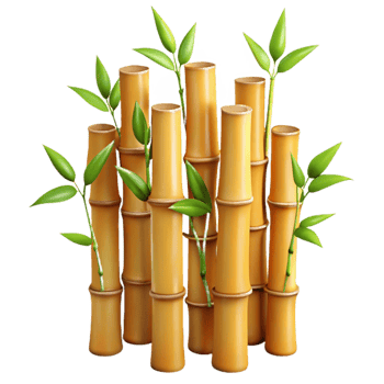 stunning contemporary Bamboo Stalks Isolated on Transparent Background original png