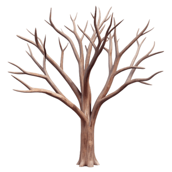 vibrant vintage Bare Tree Branches Transparent Background professional png