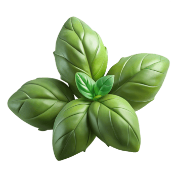 impressive minimalist Basil Leaves Green Isolated on Transparent Background high resolution png