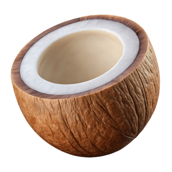 elegant classic Coconut Half White Flesh Brown Shell Cutout high resolution png