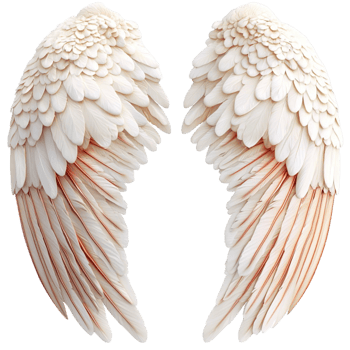 Pair of angelic wings with white feathers png