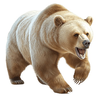 Powerful brown bear roaring with its mouth wide open png