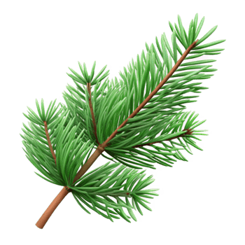 impressive abstract Green Christmas Tree Branch Isolated with Pine Needles exclusive png