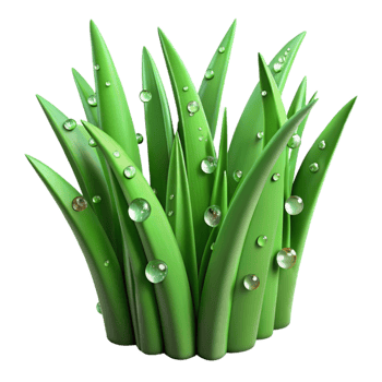 serene abstract Green Grass Blades with Dew Drops Transparent Background high resolution png