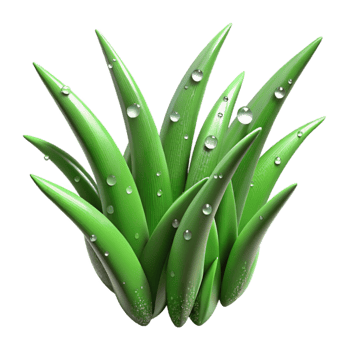 elegant traditional Green Grass Blades with Dew Drops Transparent Background high quality png