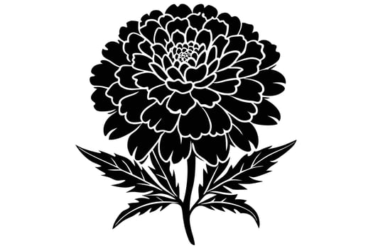 A Black and White Silhouette of a Marigold Flower vector
