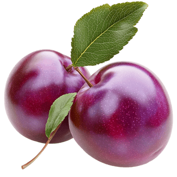 Juicy ripe purple plums with a green leaf attached png