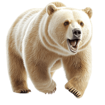 Large polar bear walking forward with a powerful and majestic stance png