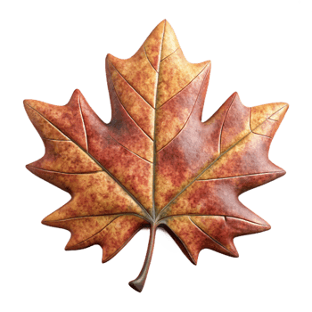 beautiful traditional Maple Leaf Cutout with Autumn Colors genuine png