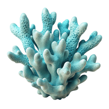 wonderful traditional Ocean Coral Reef Cutout Element original png