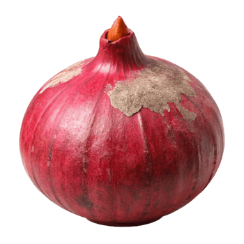 serene classic Onion Red Whole Isolated Element with Papery Skin premium png