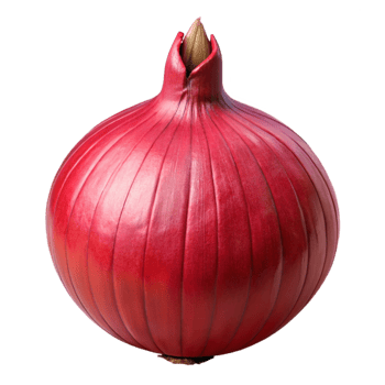 wonderful classic Onion Red Whole Isolated Element with Papery Skin 4K png