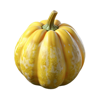 serene vintage Squash Isolated with Yellow Skin authentic png
