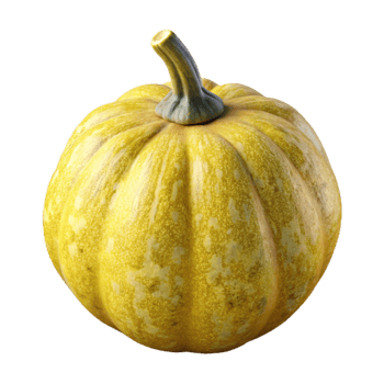 extraordinary creative Squash Isolated with Yellow Skin authentic png