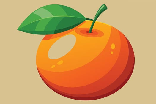 Vibrant orange fruit illustration in Adobe Illustrator. vector