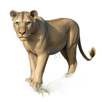 stunning modern Female Lion 3D Render original png