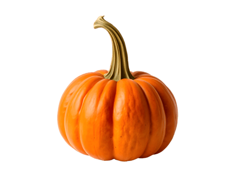 Pumpkin isolated on transparent background png