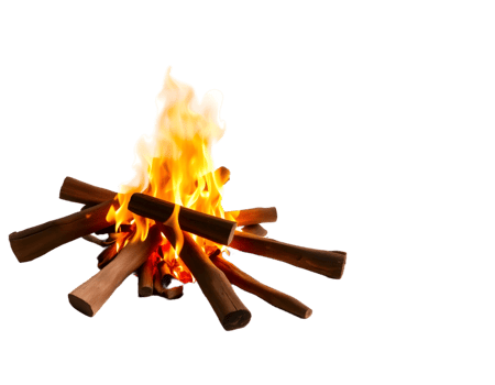 Bonfire with wood sticks isolated on transparent background png