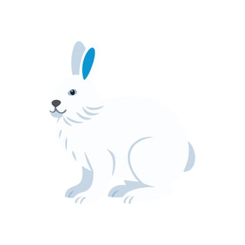 Elegant Arctic Hare for Wildlife Themes vector