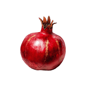Fresh ripe pomegranate resting on a transparent background, showcasing its vibrant red color and detailed texture, ripe pomegranate on transparent background png