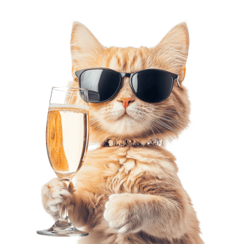 A stylish cat celebrates with a champagne glass while wearing sunglasses against a transparent background, Funny Cat with Champagne Glass On transparent background Celebration Concept png