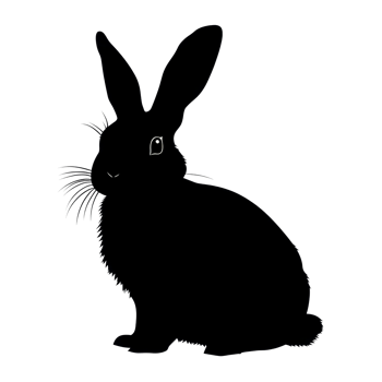 Black silhouette of a rabbit against a transparent background showcasing its distinctive features, black silhouette of a rabbit png
