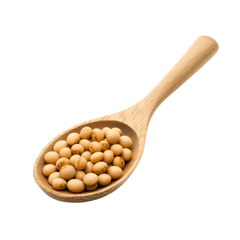 Soybeans in a wooden spoon on a transparent background for culinary and nutritional use, Soy beans in wood spoon isolated on transparent background png