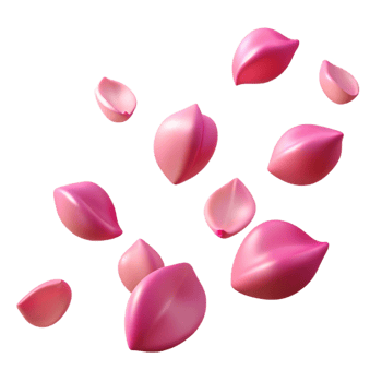 extraordinary artistic Pink Petals 3D Illustration high resolution png
