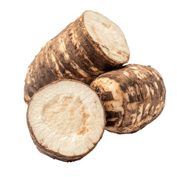 Taro root with slices showing texture on a clean transparent background for culinary use and nutrition information, Taro root isolated on transparent background png